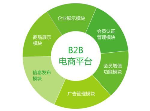 為什么需要定制的b2b網(wǎng)站系統(tǒng)建設(shè)方案